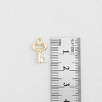 SG.338 // Surgical Steel Gold Heart Key Pendent, 2pc / P-SS-1211