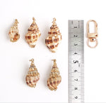 PD.2142 // Real Shell Pendant, 1 Pc / P-SS-0822