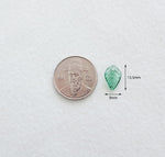 PD.2145 // Acrylic Clear Leaf Pendant, 4 Pc / [5-4166-04]