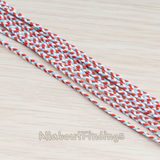 CH.079 // Color Fabric Braid Chain, 1 Meter