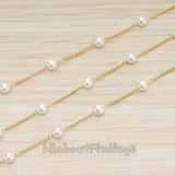 CH.145 // Pearl Bead Chain, 1 Meter