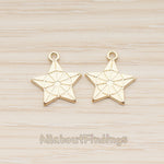 PD.1857 // Small Star Textured Pendant , 2 Pc