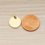 SG.012 // 14mm Round Surgical Steel Pendant, 2 Pc