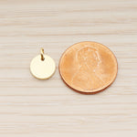 SG.010 // 8mm Round Surgical Steel Pendant, 2 Pc