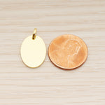 SG.008 // 12 x 16mm Oval Surgical Steel Pendant, 2 Pc