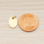 SG.006 // 8 x 10mm Oval Surgical Steel Pendant, 2 Pc