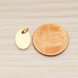 SG.006 // 8 x 10mm Oval Surgical Steel Pendant, 2 Pc