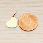 SG.018 // 12 x 10mm Heart Surgical Steel Pendant, 2 Pc