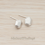 ER.304 // Brushed Organic Shape Earpost, 2Pc