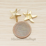 ER.352 // Dotted Starfish Earpost, 2 Pc