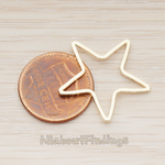 PD.1008-03 // 23mm Star Link Pendant, 2 Pc