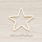 PD.1008-03 // 23mm Star Link Pendant, 2 Pc