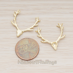 PD.1163 // Large Deer Antler Pendant, 2 Pc