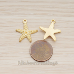 PD.1290-02 // Textured Starfish Pendant, 2Pc