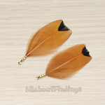 PD.1495-05 // Light Brown and Black Tip Colored Artificiality Wild Bird Feather Pendant, 2 Pc