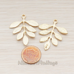 PD.410 // Pinnate Leaf Connector Pendant, 2 Pc