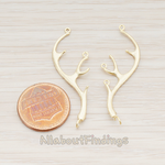 PD.463 // Antler Pendant, 2 Pc