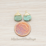 PD.896 // Wire Wrapped Chinese Turquoise Pendant, 2 Pc