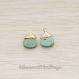 PD.896 // Wire Wrapped Chinese Turquoise Pendant, 2 Pc