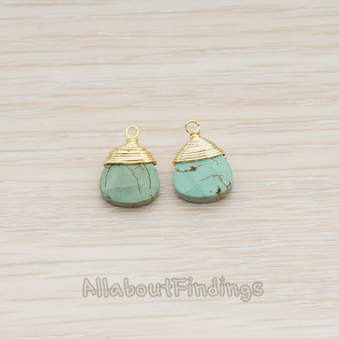 PD.896 // Wire Wrapped Chinese Turquoise Pendant, 2 Pc